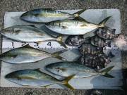 にこにこ渡船 釣果