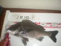 姫路市立遊魚センター 投稿