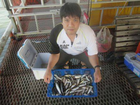 尼崎市立魚つり公園　アジ1000匹