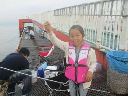 尼崎市立魚つり公園　アジ1000匹