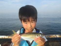 尼崎市立魚つり公園　サビキ好調！