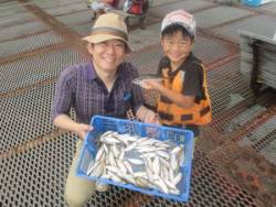 尼崎市立魚つり公園 午前中豆アジ好調、サヨリの姿も☆