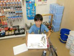 大阪南港海釣り公園　アジ、サバ、サッパほか