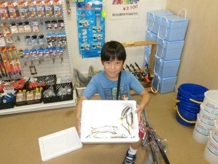 大阪南港海釣り公園　アジ、サバ、サッパほか