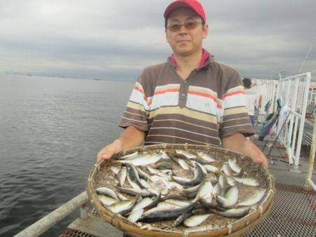 尼崎市立魚つり公園　アジ好調
