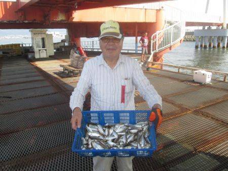 尼崎市立魚つり公園 サビキアジ朝一入れ喰い…