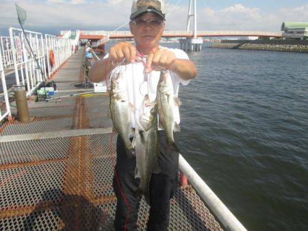尼崎市立魚つり公園 サビキアジ朝一入れ喰いでした♪