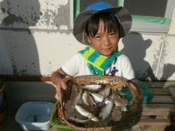 大阪南港海釣り公園　アジ好調