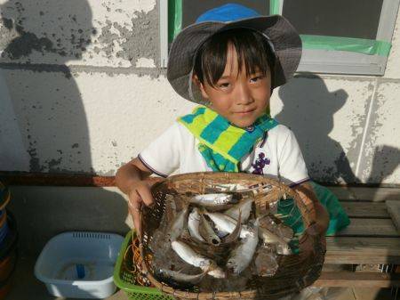 大阪南港海釣り公園　アジ好調