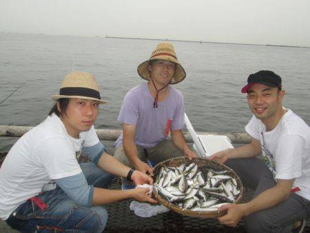 尼崎市立魚つり公園　アジ、サバ、サッパ