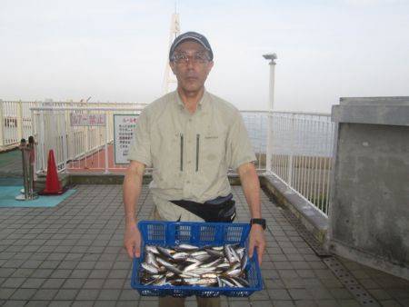 尼崎市立魚つり公園 午前中はアジが入れ喰い…