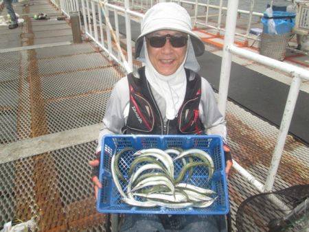 尼崎市立魚つり公園 午前中はアジが入れ喰い！