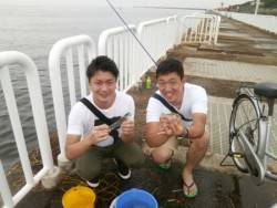 大阪南港海釣り公園　アジ、サバ、サッパ