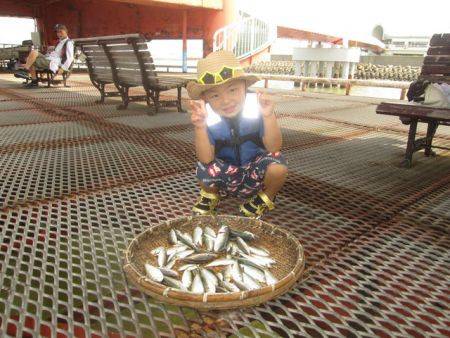 尼崎市立魚つり公園　アジ、サバ