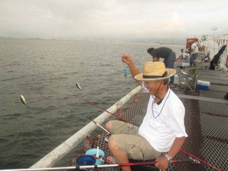 尼崎市立魚つり公園　アジ、サバ