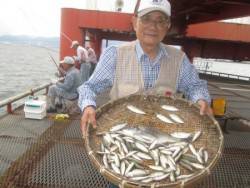 尼崎市立魚つり公園　アジ・サバ連日好調