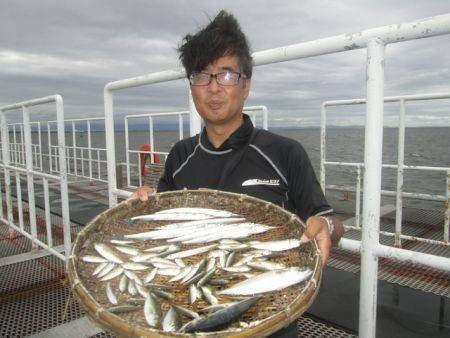 尼崎市立魚つり公園　アジ・サバ連日好調