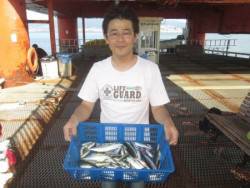 〜真夏日続きます〜　魚つり公園でサビキ釣り