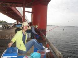 尼崎海釣公園　サビキのアジ・サバ好調