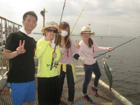 尼崎海釣公園　サビキのアジ・サバ好調