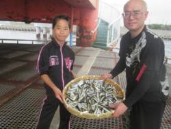 尼崎市立魚つり公園　豆アジ釣れ続いています！
