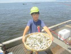 尼崎市立魚つり公園　連日豆アジ好調