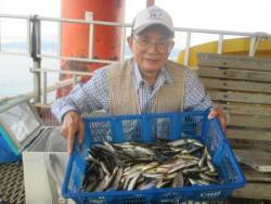 尼崎市立魚つり公園　連日豆アジ好調