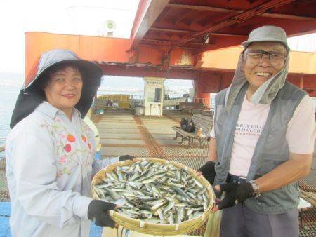 尼崎市立魚つり公園　豆アジ即反応！