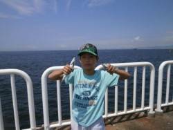 大阪南港海釣り公園　豆アジ多数