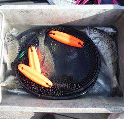 バラモン1号 釣果