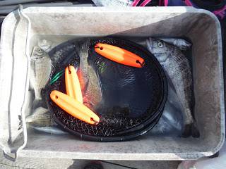 バラモン1号 釣果