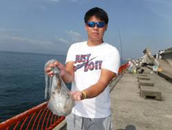 神戸市立平磯海づり公園　アオリイカ 	1135ｇ