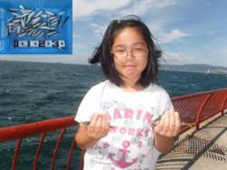 神戸市立平磯海づり公園　サビキでアジ