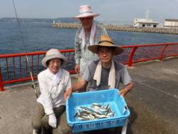 神戸市立平磯海づり公園 サビキ釣果