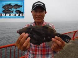 神戸市立平磯海づり公園　ウマヅラ、グレ