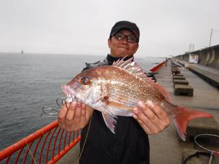 神戸市立平磯海づり公園　ウキ釣りでマダイ