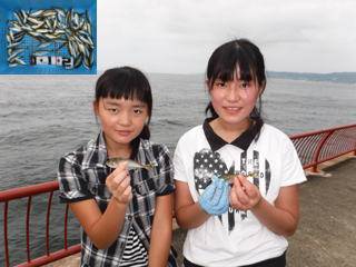 神戸市立平磯海づり公園　サビキでアジ