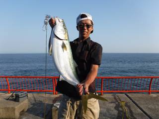 平磯海つり公園　バイブレーションでブリの釣…