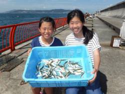 平磯海づり公園、サビキキッズ釣果