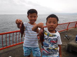 神戸市立平磯海づり公園　アコウ、ガシラ、ベ…