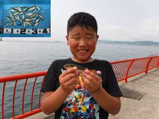 神戸市立平磯海づり公園　サビキでアジ