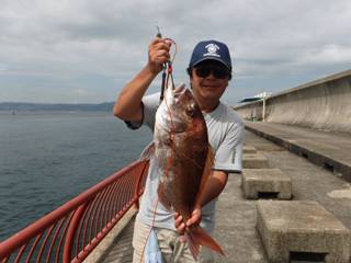 神戸市立平磯海づり公園　マダイ 	61㎝