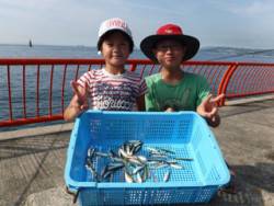 神戸市立平磯海づり公園　サビキでアジ、イワシ