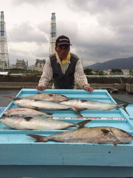 和歌山マリーナシティ海洋釣り堀　カンパチ、…