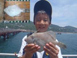 神戸市立須磨海づり公園　マルハギ　記録賞！　22.5cm