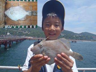 神戸市立須磨海づり公園　マルハギ　記録賞！…