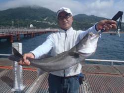 神戸市立須磨海づり公園　ルアーでスズキ