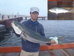 ルアーでブリ記録賞！須磨海づり公園 投稿