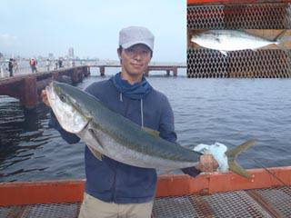 ルアーでブリ記録賞！須磨海づり公園 投稿