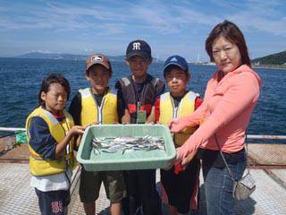 須磨海釣り公園　サビキでアジ・イワシの釣果